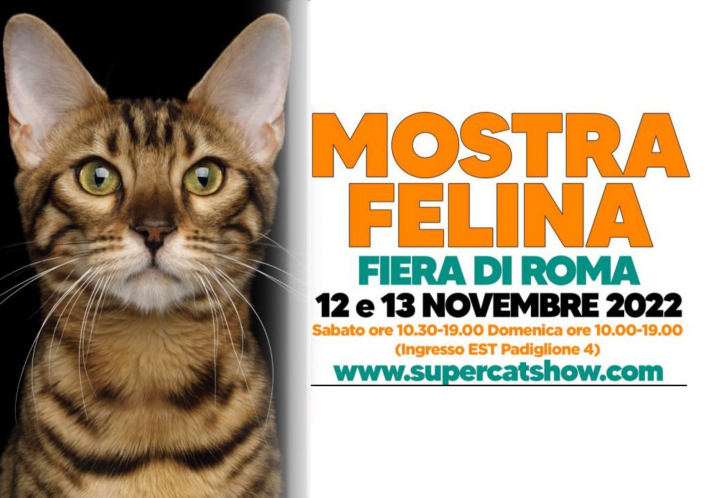 Scopri di più sull'articolo CATS PRESENTE AL SUPERCAT SHOW DI ROMA